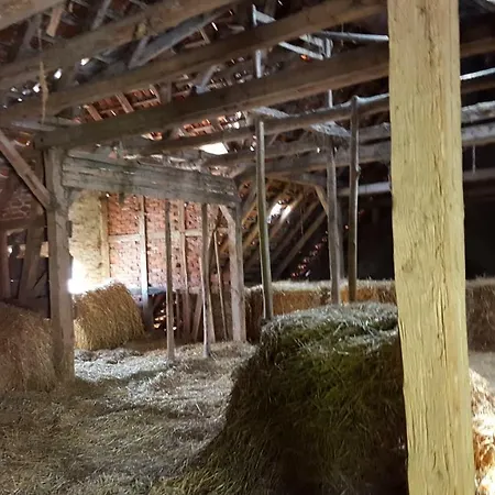 Κατάλυμα σε φάρμα Suentelhof Hessisch Oldendorf