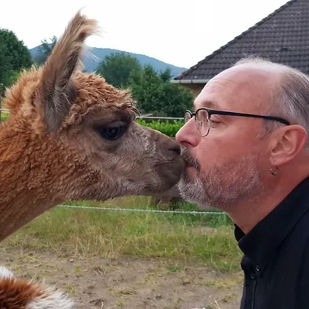 Suentelhof Κατάλυμα σε φάρμα *
