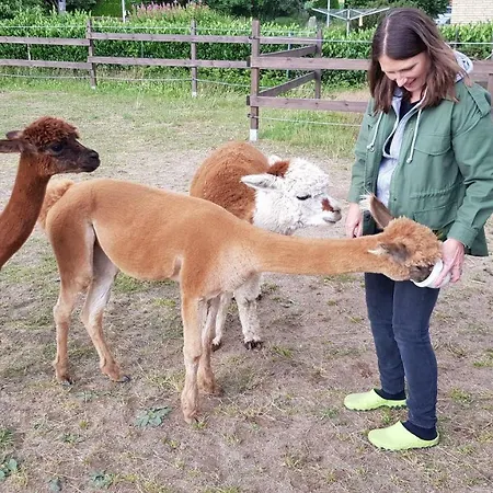 Suentelhof * Hessisch Oldendorf