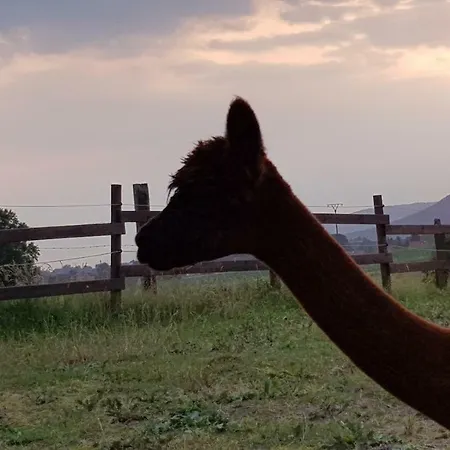 Κατάλυμα σε φάρμα Suentelhof Hessisch Oldendorf