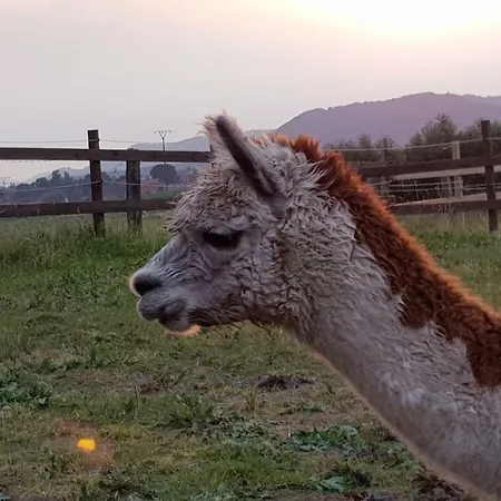 Suentelhof Κατάλυμα σε φάρμα Hessisch Oldendorf