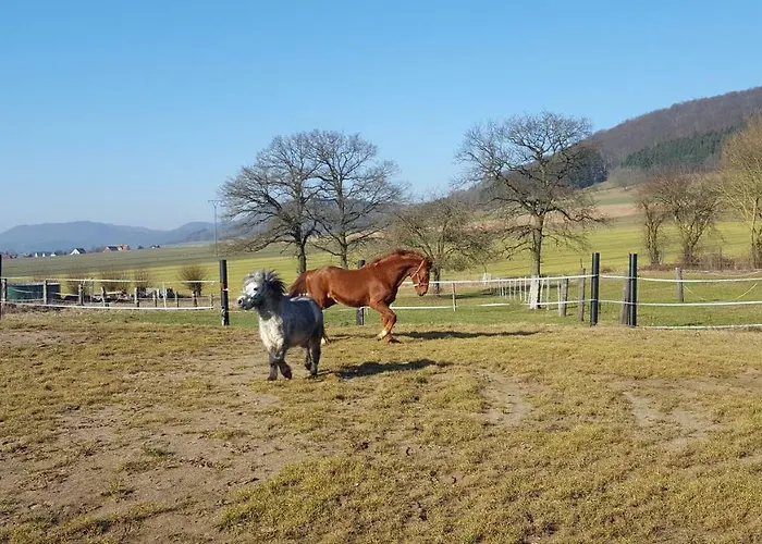 Suentelhof * Хессиш-Ольдендорф