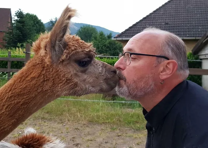 Suentelhof Фермерский дом *