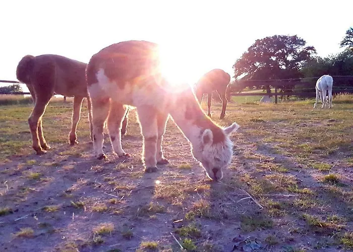 Фермерский дом Suentelhof