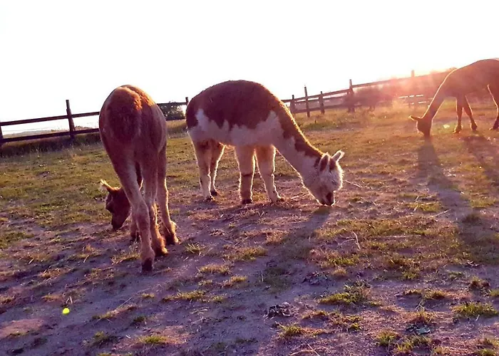 Suentelhof Фермерский дом