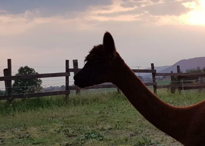 Фермерский дом Suentelhof Хессиш-Ольдендорф